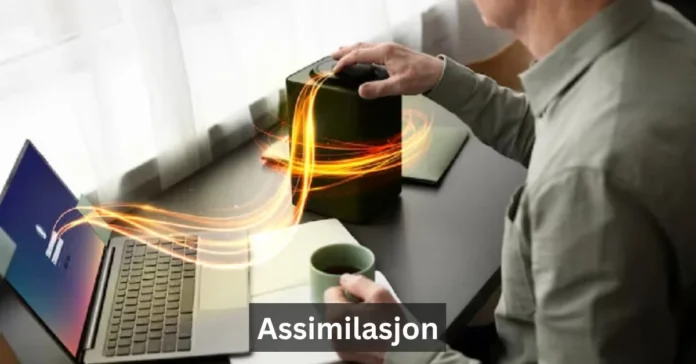 assimilasjon